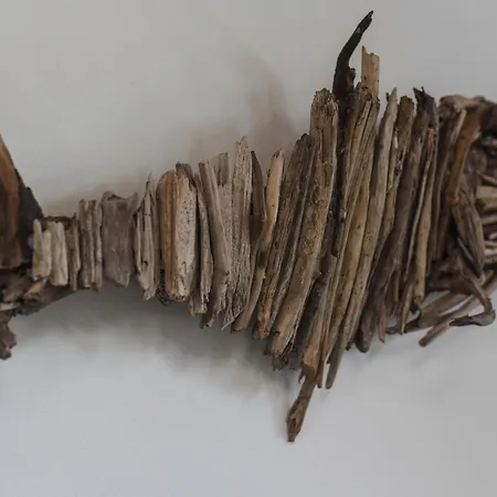 Mi Casa Es Tu Casa 104 ベッド・アンド・ブレックファスト